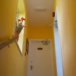 The