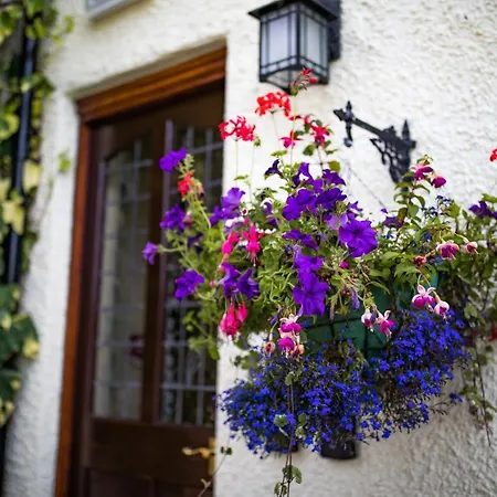 Guest house The
